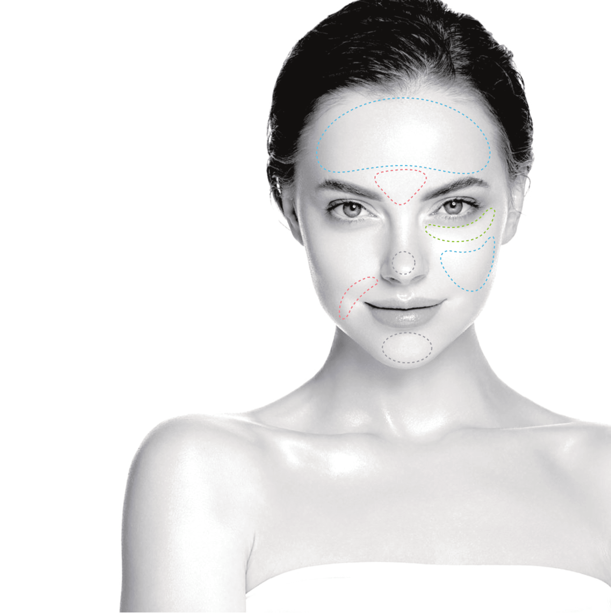 Face map of the areas each Exquiller formulation is indicated for