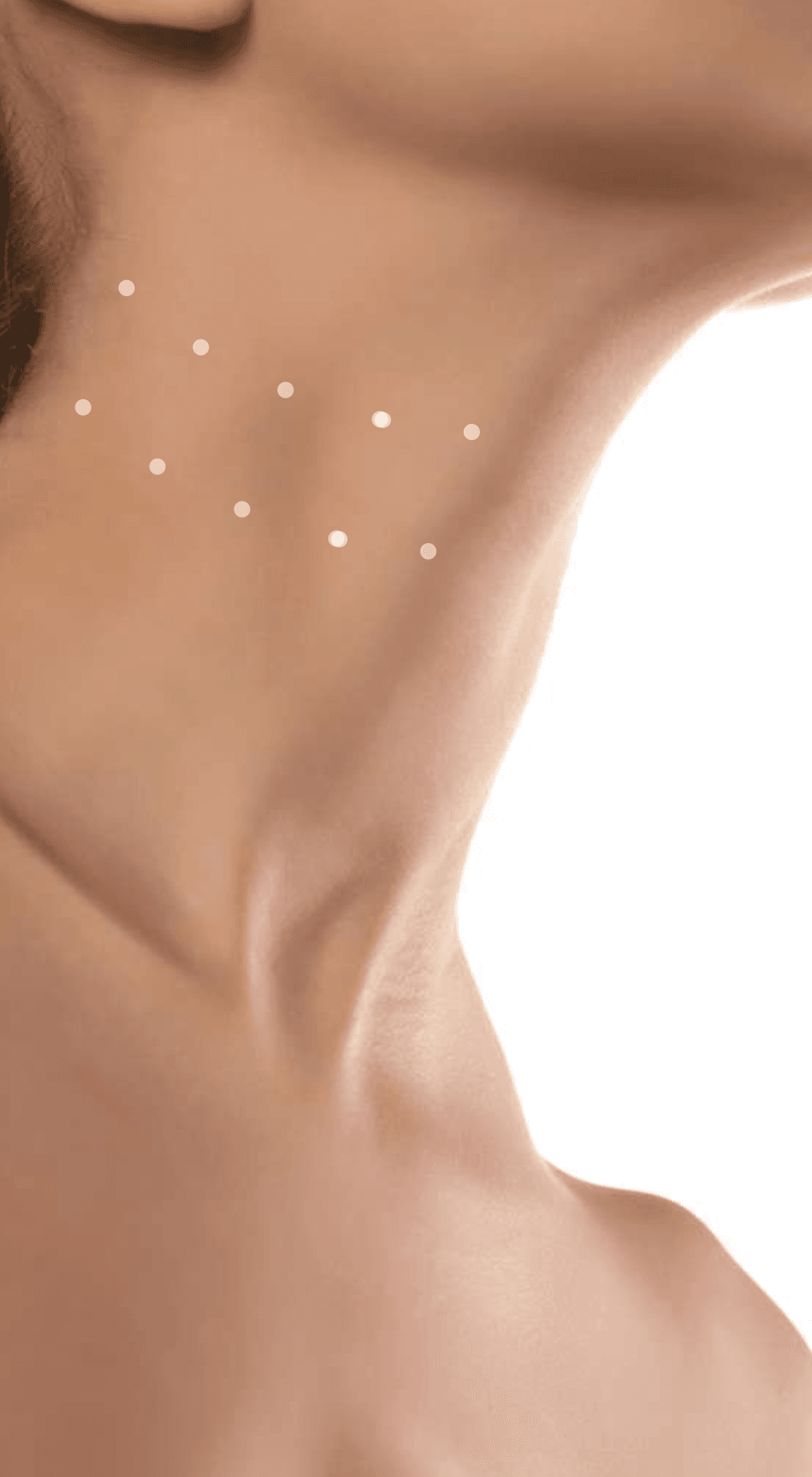 Neck